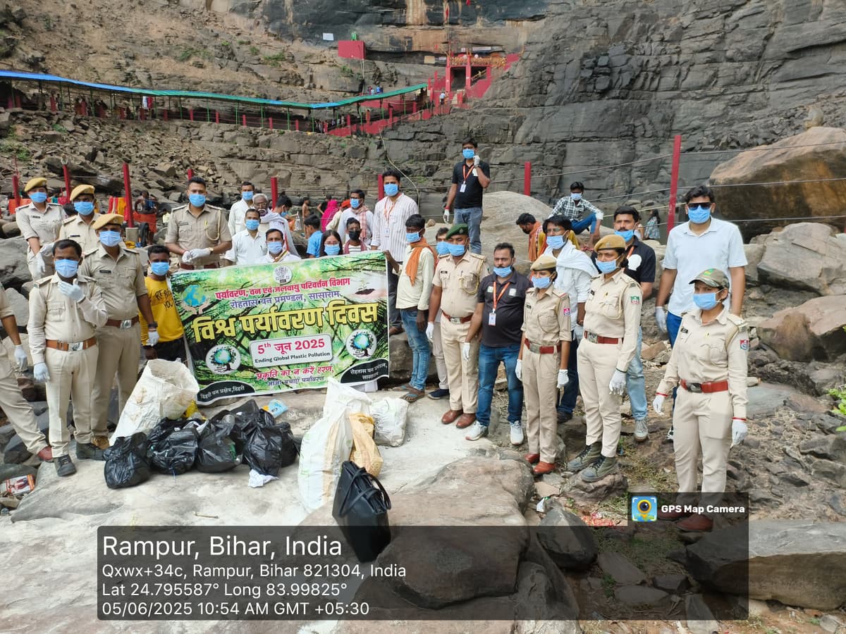 Tree plantation activity.